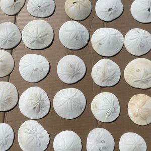 55 good, great, ok and less than perfect mix of sizes